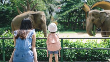 動物園